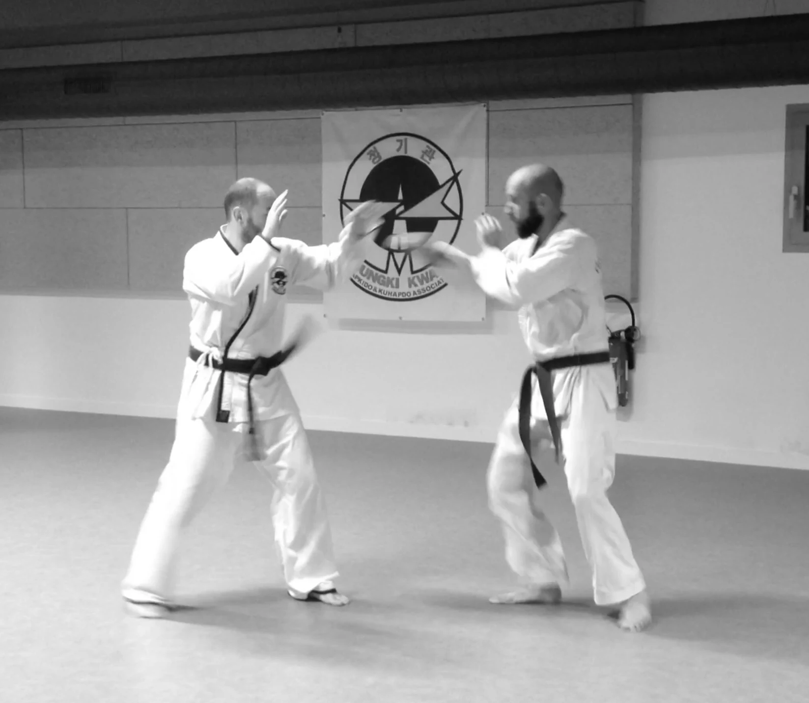 Combat en Hapkido
