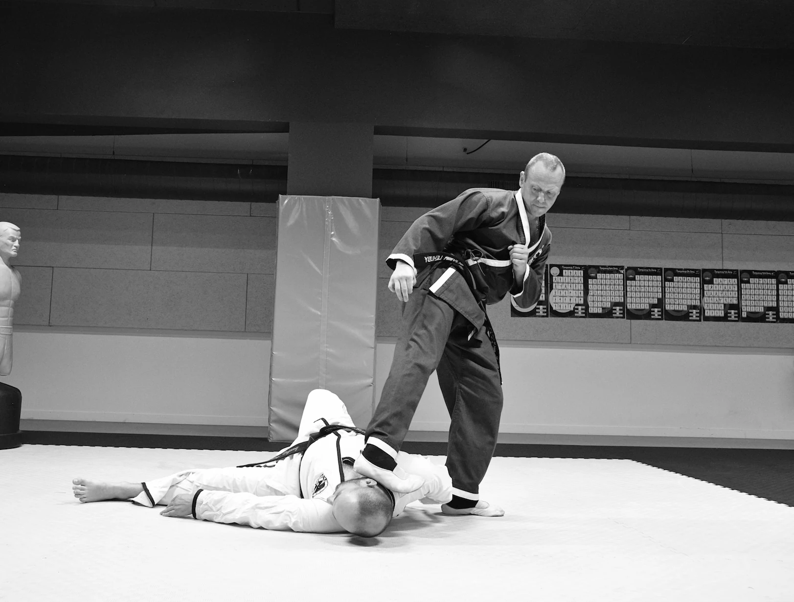 Fondamentaux (kibon sul) du Hapkido